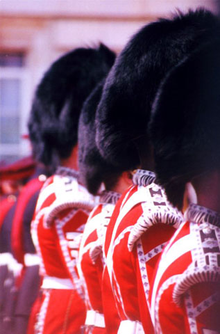 Vue du profil des chapeaux en peau d'ours noir de quatre soldats du régiment de la garde de Buckingham Palace.