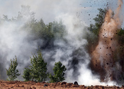 Panoramic view of the blow of an explosion in the forest. 